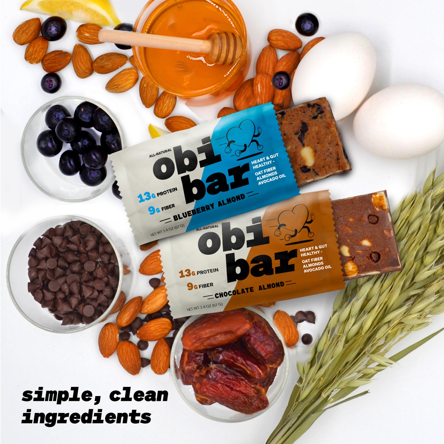Obi Bar Sampler - Protein and Oat Fiber Bar | All-Natural, Sustained Energy | Lightly Sweet Taste | 6 Chocolate Almond and 6 Blueberry Almond | MADE WITH AVOCADO OIL | Egg White Protein | Soy Free, Dairy Free, No Sugar Alcohol, No Seed Oils | 12 Pack