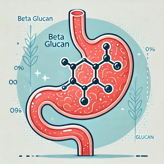 Beta-Glucan for Weight Control